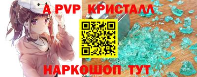 ешки Кингисепп