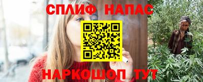 ешки Кингисепп