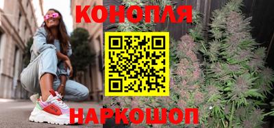 ешки Кингисепп