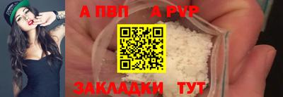 ешки Кингисепп