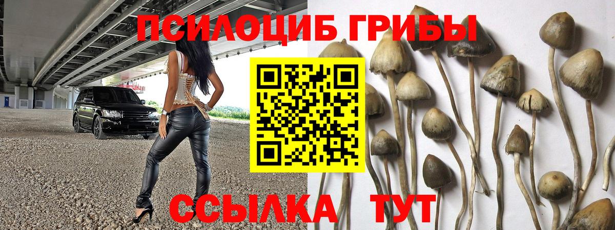 Псилоцибиновые грибы прущие грибы Кохма