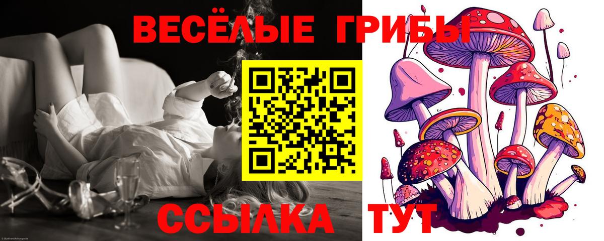 Псилоцибиновые грибы MAGIC MUSHROOMS  Вход с VPN  Кохма 